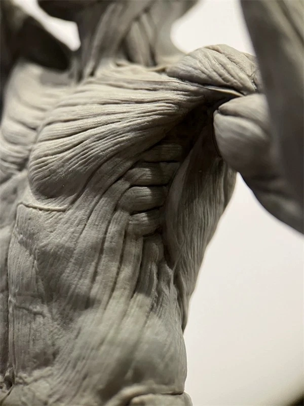【IN-STOCK】Evolaboratory Human Male Education Model Muscle Anatomy 28cm 1/7
