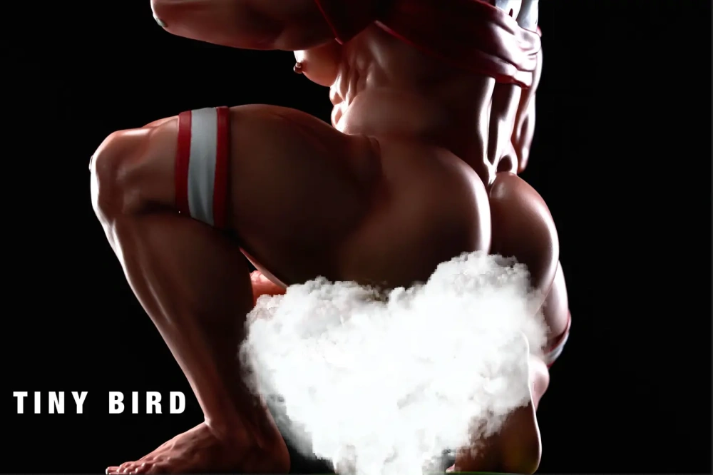 【PRE-ORDER】TINY BIRD Studio - 1/6 Rugby Player RIKKi