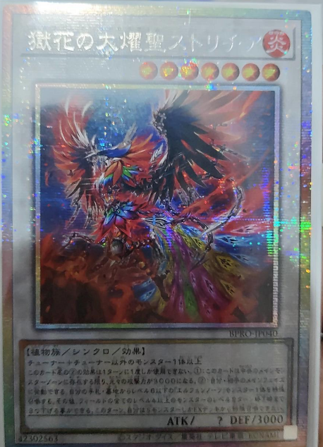 Elvennotes Seraphim Stlitzia BPRO-JP040PSER