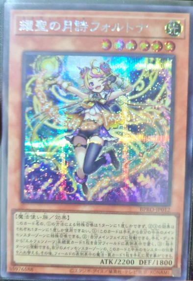 Elvennotes Fortona BPRO-JP012SER