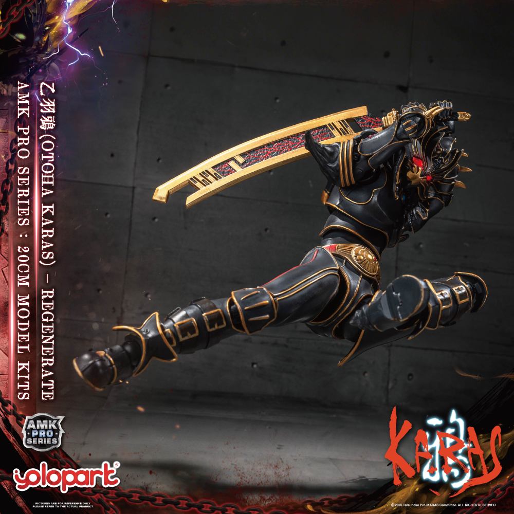 【IN-STOCK】YOLOPARK AMK PRO KARAS  BR4548751