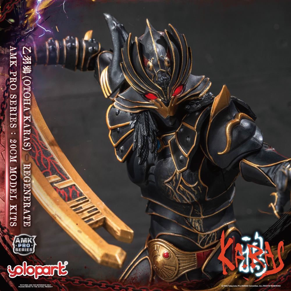 【IN-STOCK】YOLOPARK AMK PRO KARAS  BR4548751