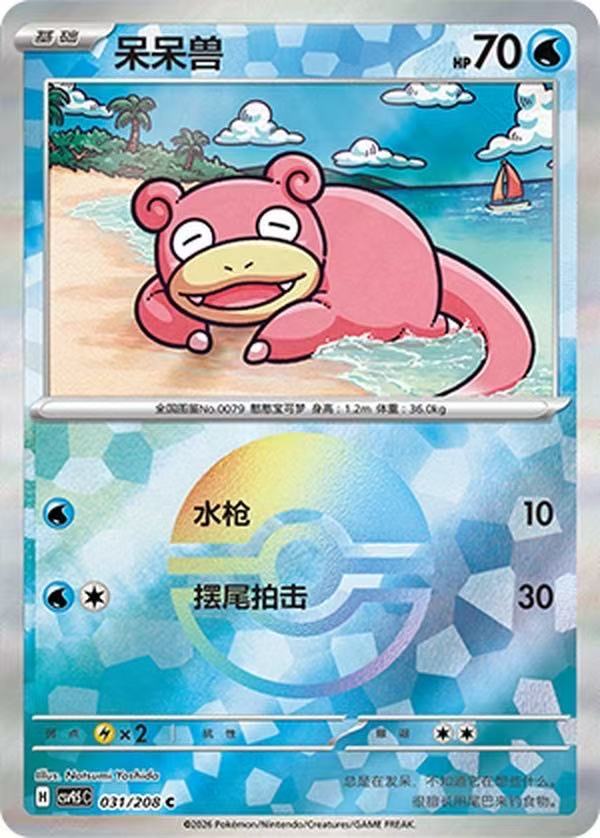 Slowpoke CSV9.5C 031/208