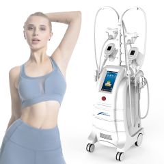 Body Shaping Slimming Cryo Lipolysis Machine