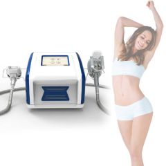 ETG-D4S Cooling Lipolysis System Weight Loss Machine