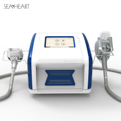 ETG-D4S Cooling Lipolysis System Weight Loss Machine