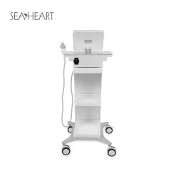 Beauty Salon Use RF Microneedling Machine Anti-Wrinkle RF Equipment