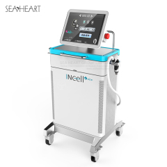 InCell-Ice Microneedle RF Machine