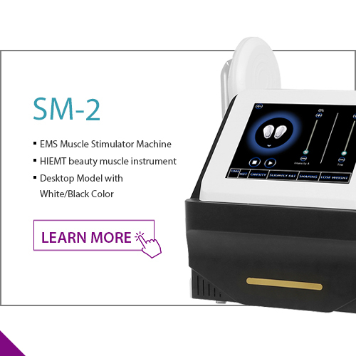 SM-2 Portable Ems Muscle Sculpt Machine