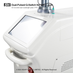 C9 Q-Switched Nd:YAG Laser System