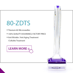 80-ZDTS Micro Needles Derma Stamp