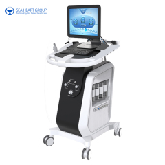 Advanced Beauty Equipment for Facial Rejuvenation - SEA HEART GROUP