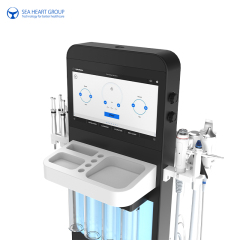 HydraMaster Pro Microdermabrasion Machine