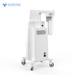 MagiFace EMT EMS RF Vline Face Rejuvenation Machine