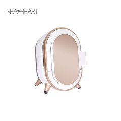 Skin Analysis Mirror SA-DM1 Beauty Mirror
