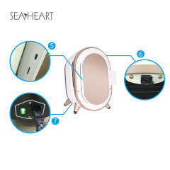 Skin Analysis Mirror SA-DM1 Beauty Mirror