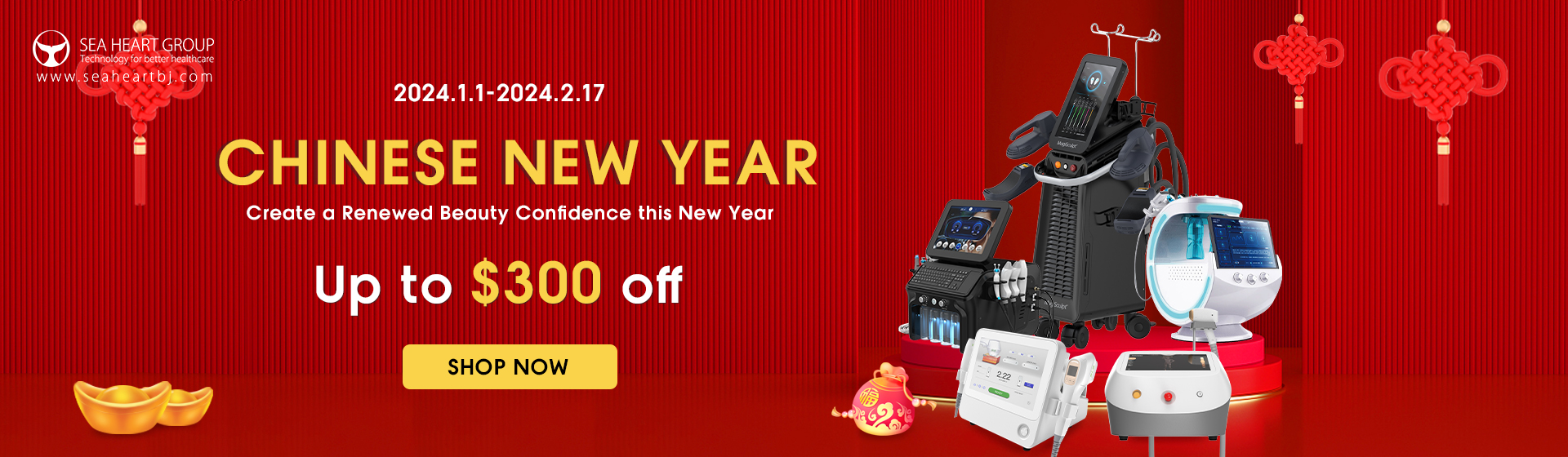 Chinese new year promotion