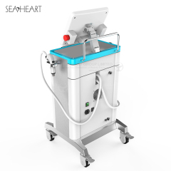 SH-RF P60 RF Microneedling Machine for Sale Beauty Salon