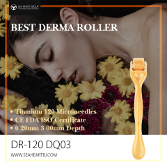 Hair Loss Solution: Derma Roller