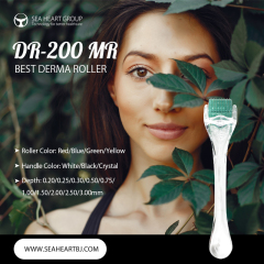 Hair Loss Solution: Derma Roller