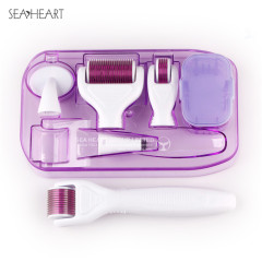 Popular Derma Roller Kit 4/5/6 in 1 with Wholesale Price