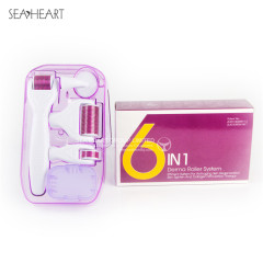 Popular Derma Roller Kit 4/5/6 in 1 with Wholesale Price