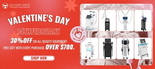 2025 Valentine's Day Beauty Equipment Promotion