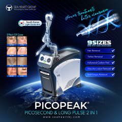 2 In 1 Long Pulse & Picosecond Laser Machine