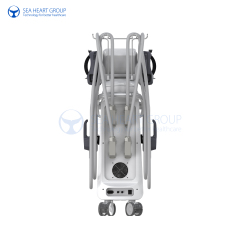 RF+EMS Sculpting Machine