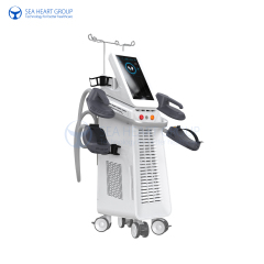 RF+EMS Sculpting Machine