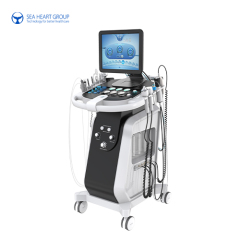 SPA20 HydraMaster Skin Microdermabrasion Facial Machine