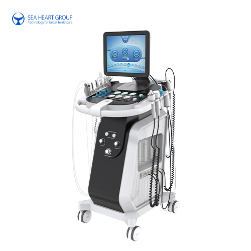 SPA20 HydraMaster Skin Microdermabrasion Facial Machine