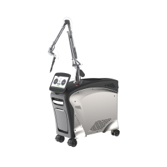 2 In 1 Long Pulse & Picosecond Laser Machine