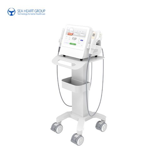 Care-9 Portable 10D HIFU Machine