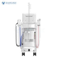 14 in 1 Hydro Dermabrasion Device