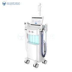 14 in 1 Hydro Dermabrasion Device