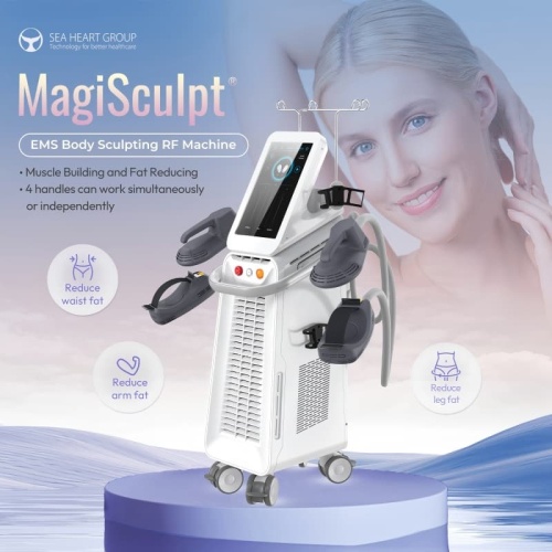 SM-20 EMS Body Sculpting Machine