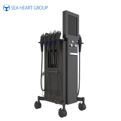 SPA302 Professional 10-in-1 Aqua Facial System