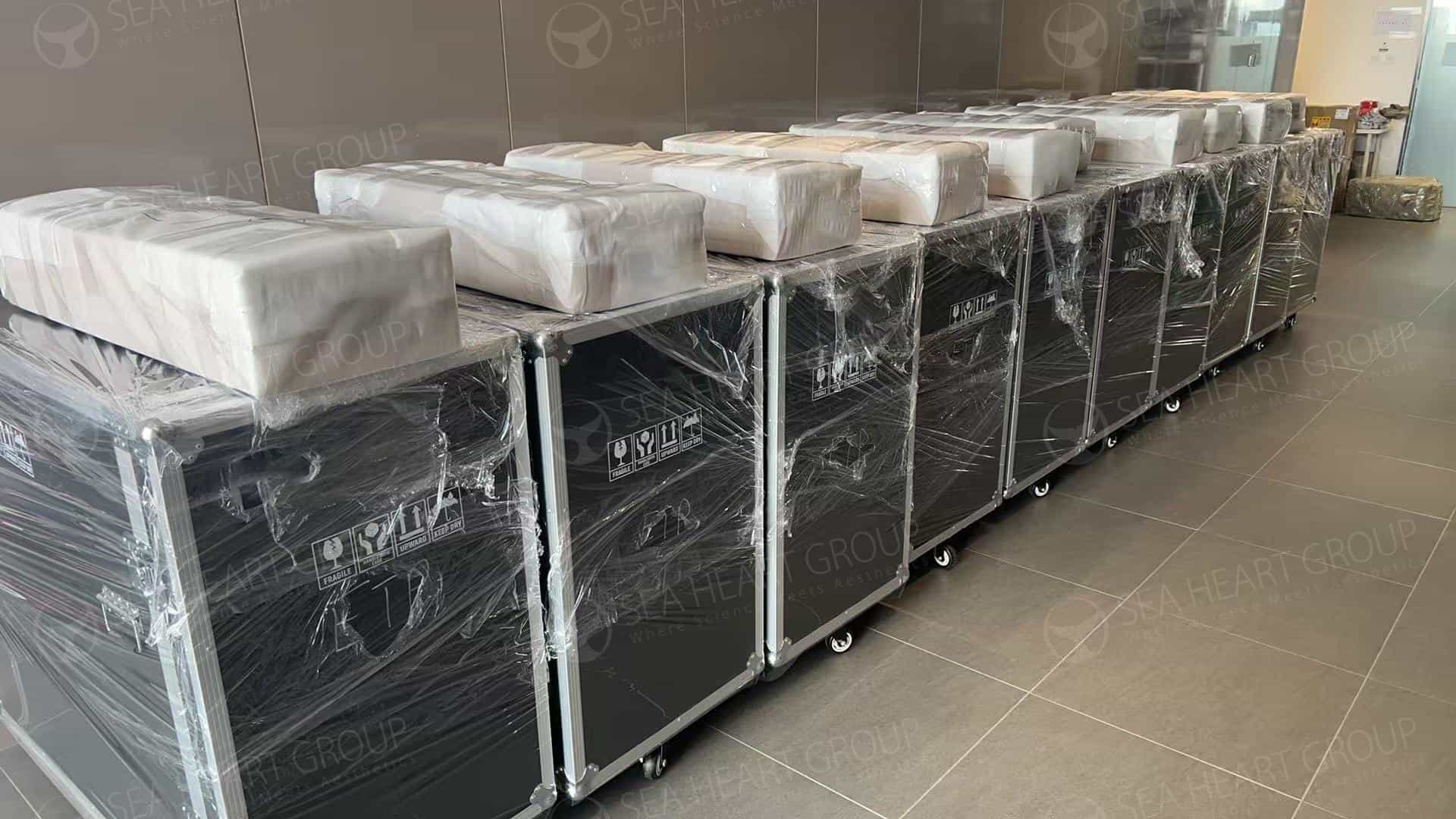 SEA HEART aesthetic machine export packaging and delivery inspection
