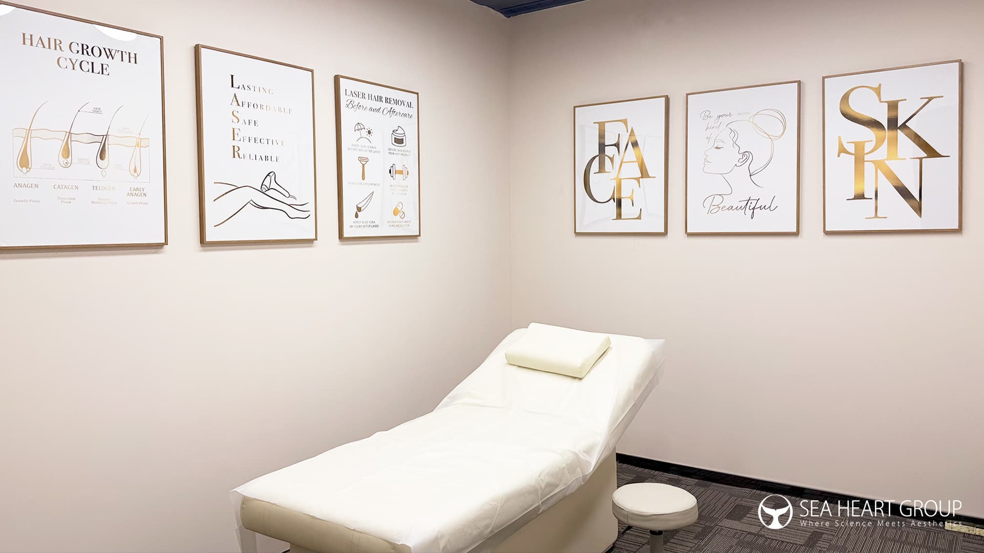 SEA HEART optoelectronic training center for professional aesthetic equipment