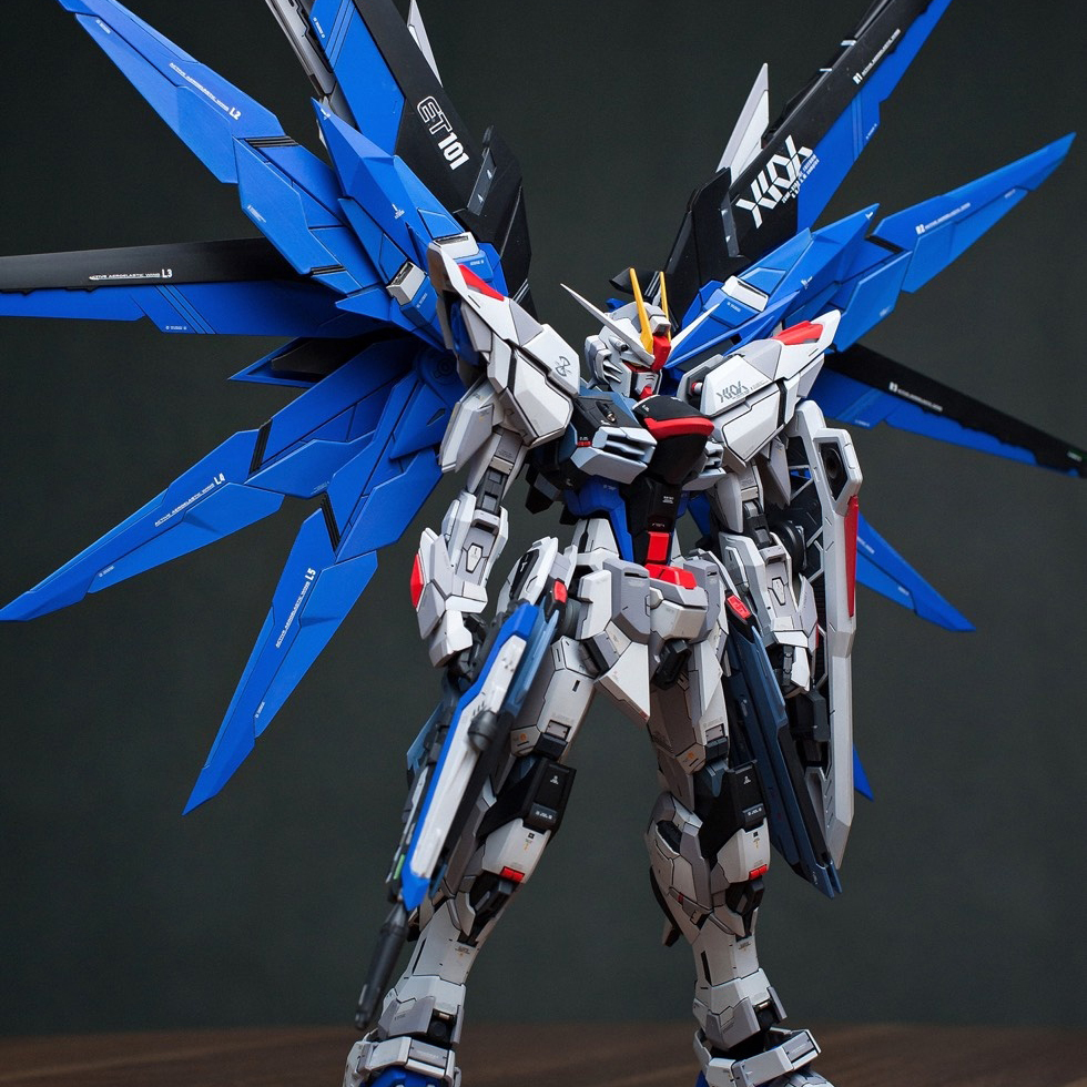 Infinite Dimension Version Kit For Freedom Gundam VER.2.0 1/100 MG ZGMF-X10A Gundam