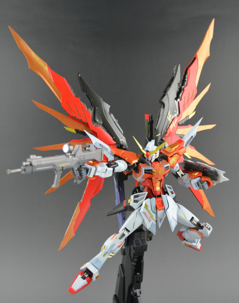 DRAGON MOMOKO Destiny Gundam (Heine Custom) 1/100 MG ZGMF-X42S Gundam