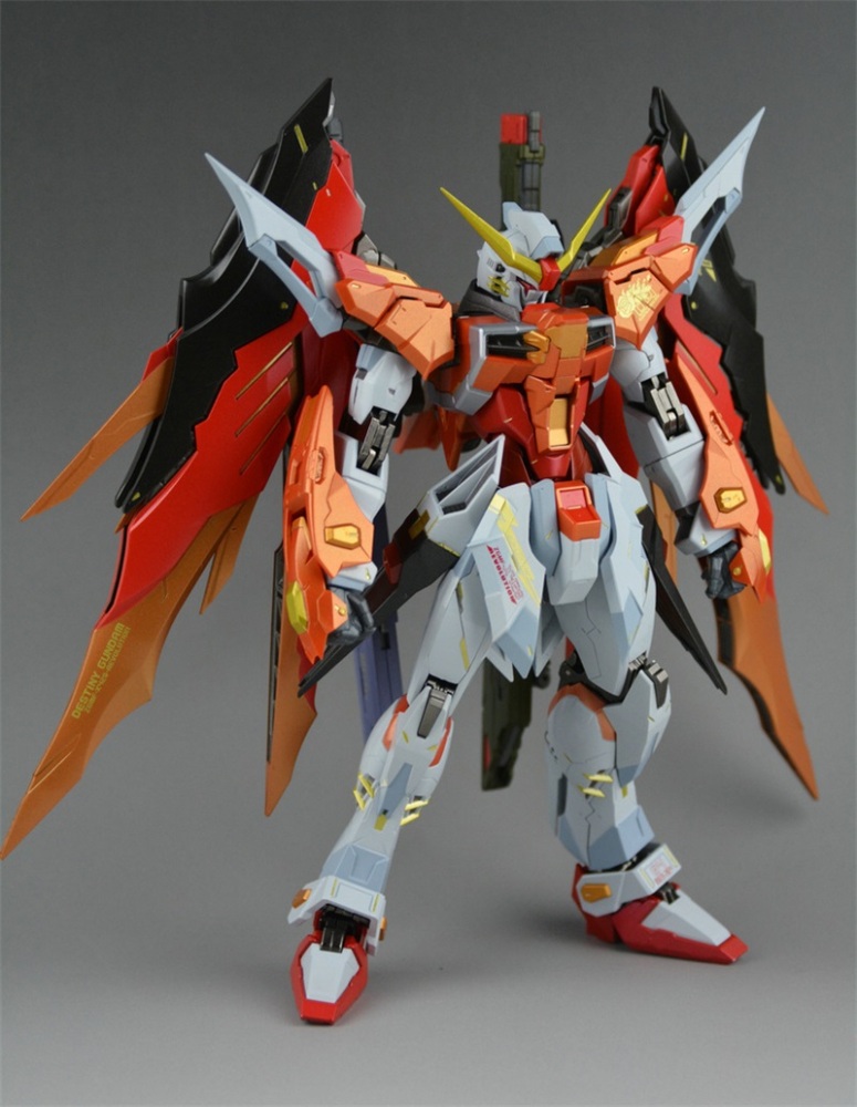 DRAGON MOMOKO Destiny Gundam (Heine Custom) 1/100 MG ZGMF-X42S Gundam