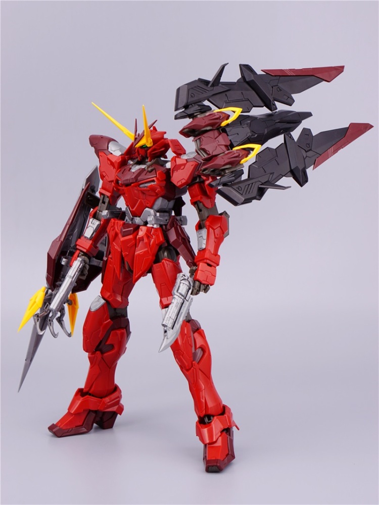 DRAGON MOMOKO Testament Gundam 1/100 MG ZGMF-X12A RGX-00