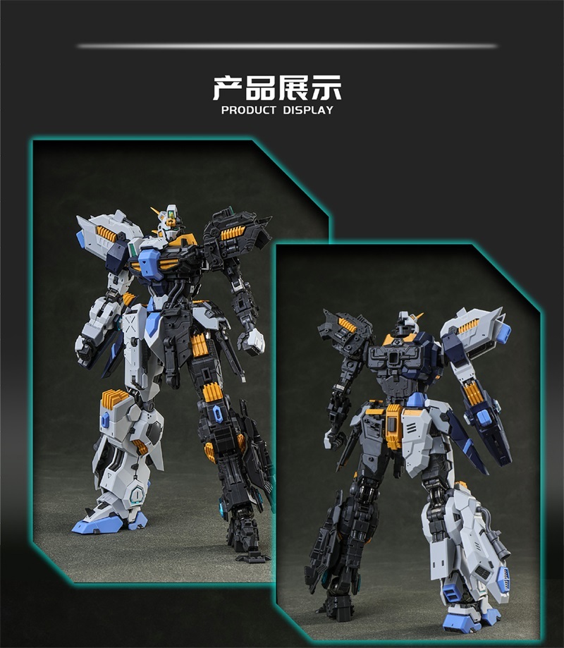 EDDAS ASGARD 1/100 MG NGEW-03-01