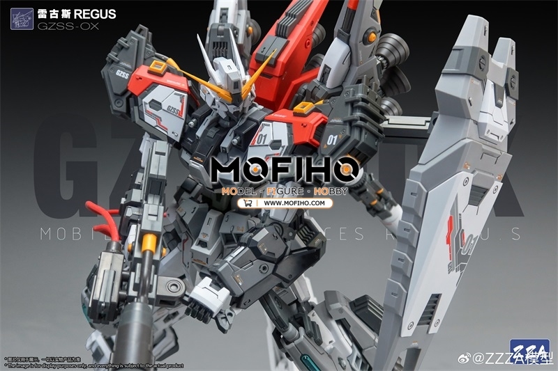 ZZA REGUS 1/100 MG GZSS-OX-001