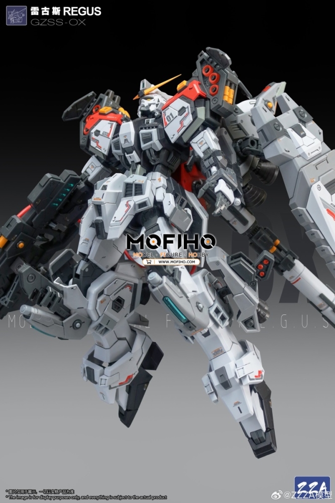 ZZA REGUS 1/100 MG GZSS-OX-001