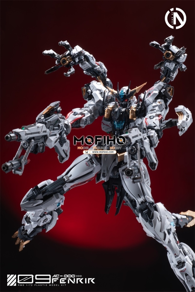 IN ERA+ FENRIR 1/72 RMD F.N.R-09