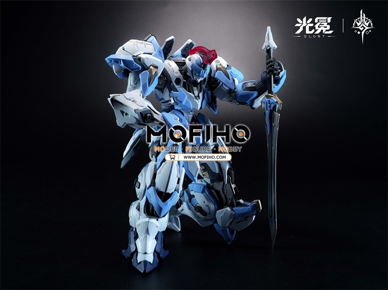 GLORT GLADIATOR TYPE 1 - ASA 1/100 MG