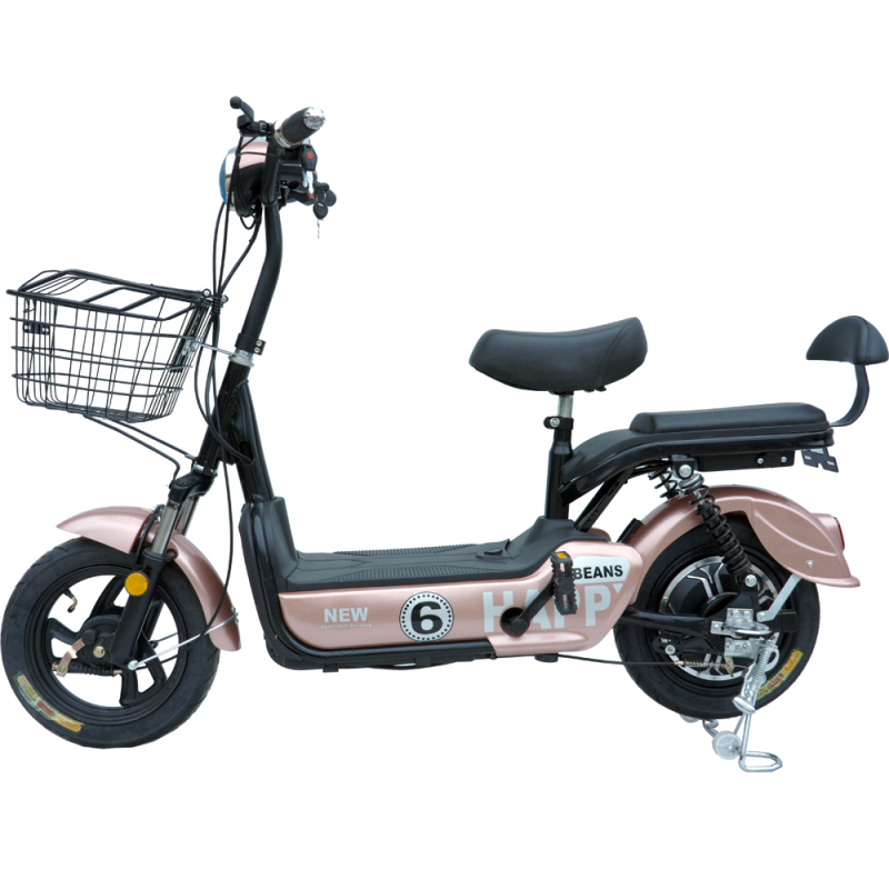 350W/450W 2seat electric bike removable battery MB3